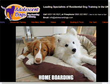 Tablet Screenshot of adolescentdogs.com